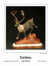 Caribou T.jpg (2396 bytes)