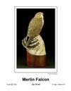 Merlin Falcon T.jpg (2080 bytes)