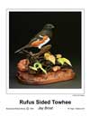 Rufus Sided Towhee T.jpg (2711 bytes)