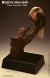 Blyth's Hornbill Poster T.jpg (3999 bytes)