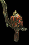 Cardinal T.jpg (3814 bytes)