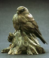 Goldfinch T.jpg (4314 bytes)