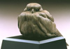 Kestrel T.jpg (2321 bytes)