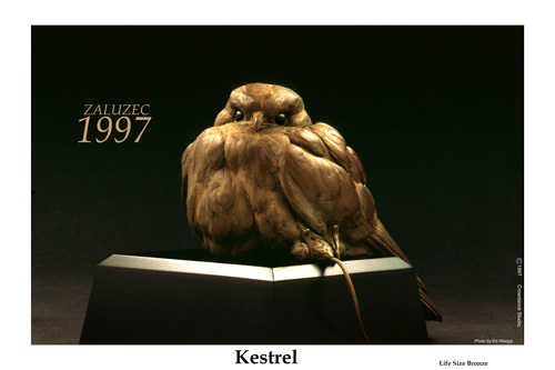 Kestrel on Mouse Poster.jpg (39090 bytes)
